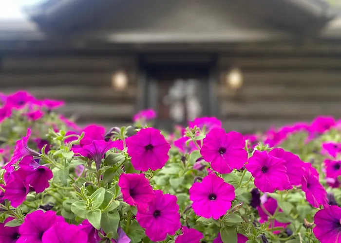 Historic Log Cabin #14 At Horse Creek Resort
